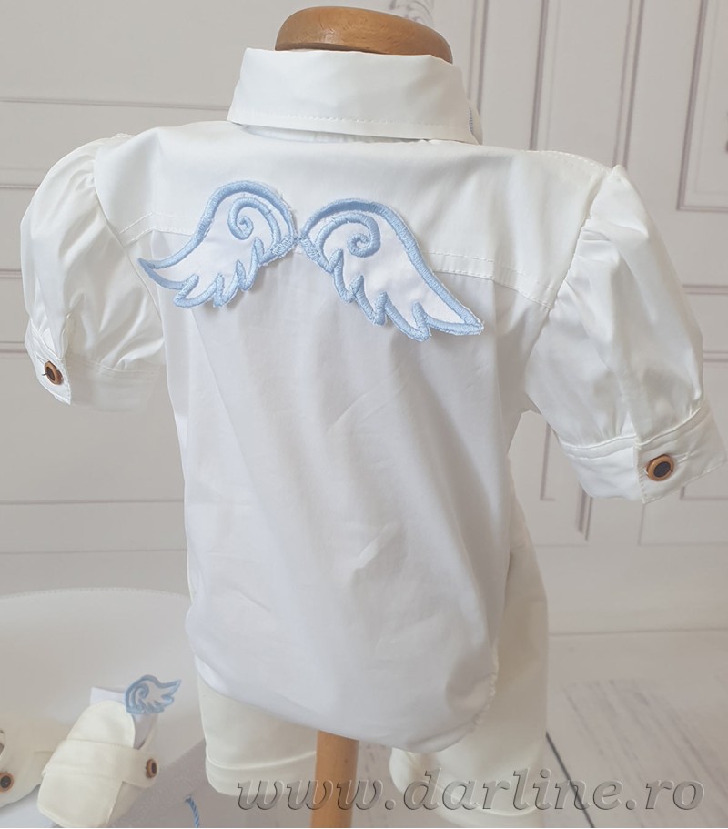 Costumas botez aripi Wings